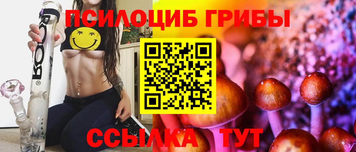 Галлюциногенные грибы Psilocybine cubensis  Вход с VPN  Рыбинск 